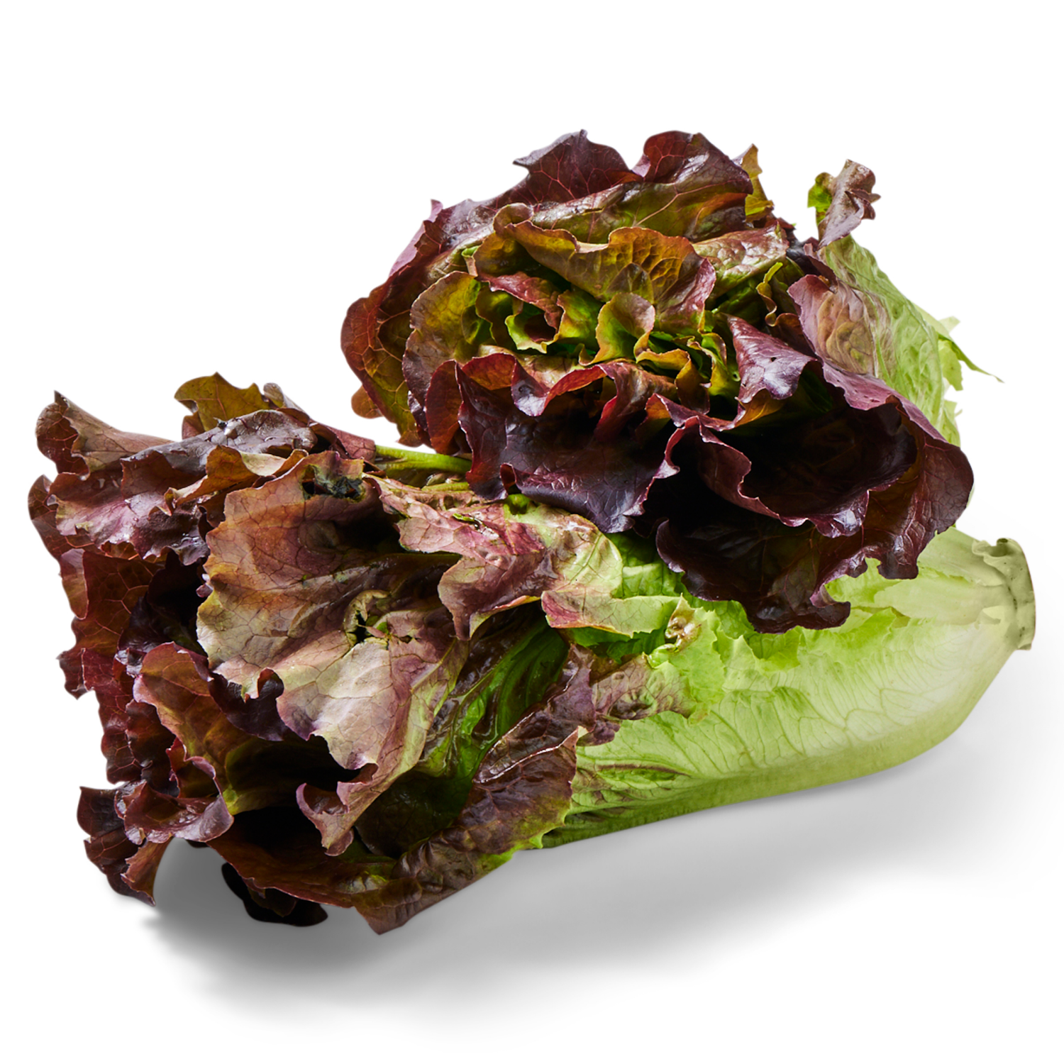 slide 2 of 2, Lettuce Red Leaf, 1 ct