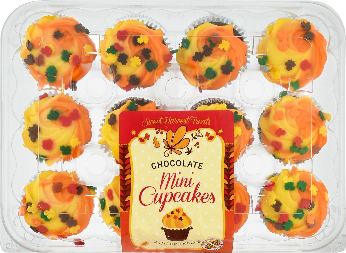 slide 3 of 13, LaBree's Bakery Harvest 12Ct Mini Chocolate Cupcakes, 10.5 oz