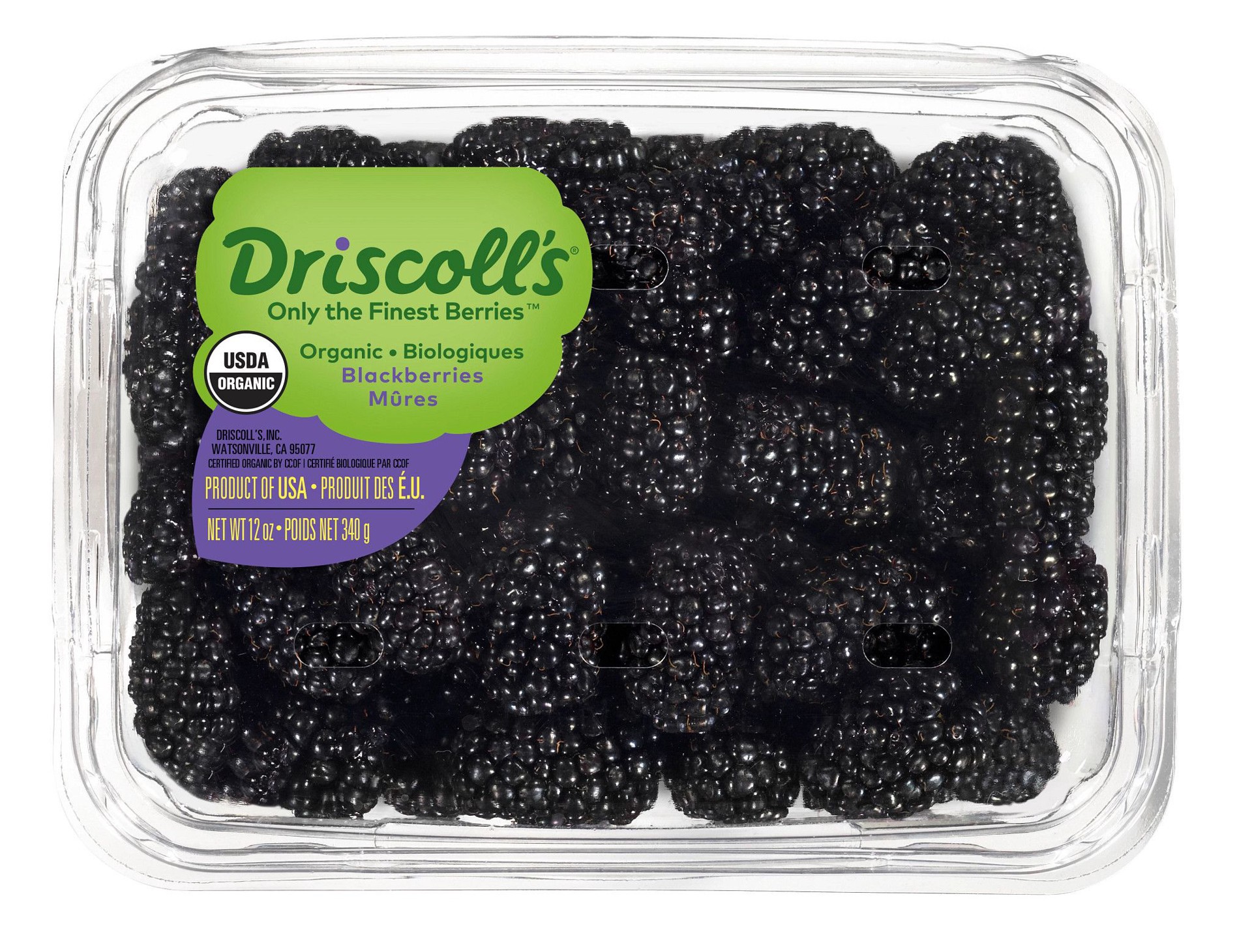 slide 1 of 7, Driscoll's Blackberries, Organic Blackberries, 12 oz., 12 oz