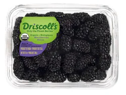 Driscoll's Blackberries, Organic Blackberries, 12 oz.