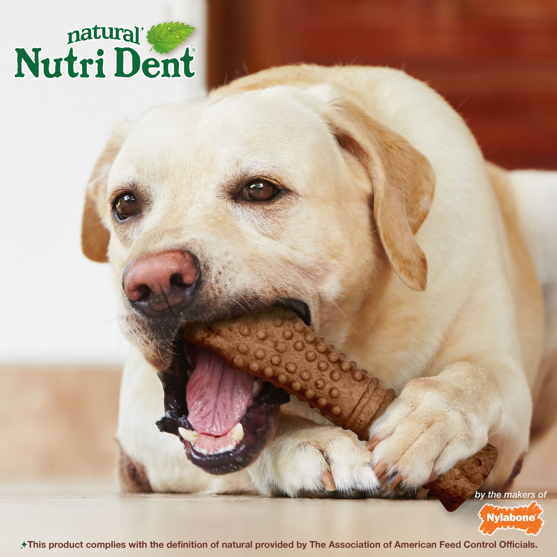 slide 5 of 9, Nylabone Nutri Dent Filet Mignon Dog Dental Chews X-Large/Souper - 50+ lbs.(1 Count), 1 ct