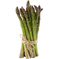 Asparagus