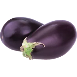 Eggplant