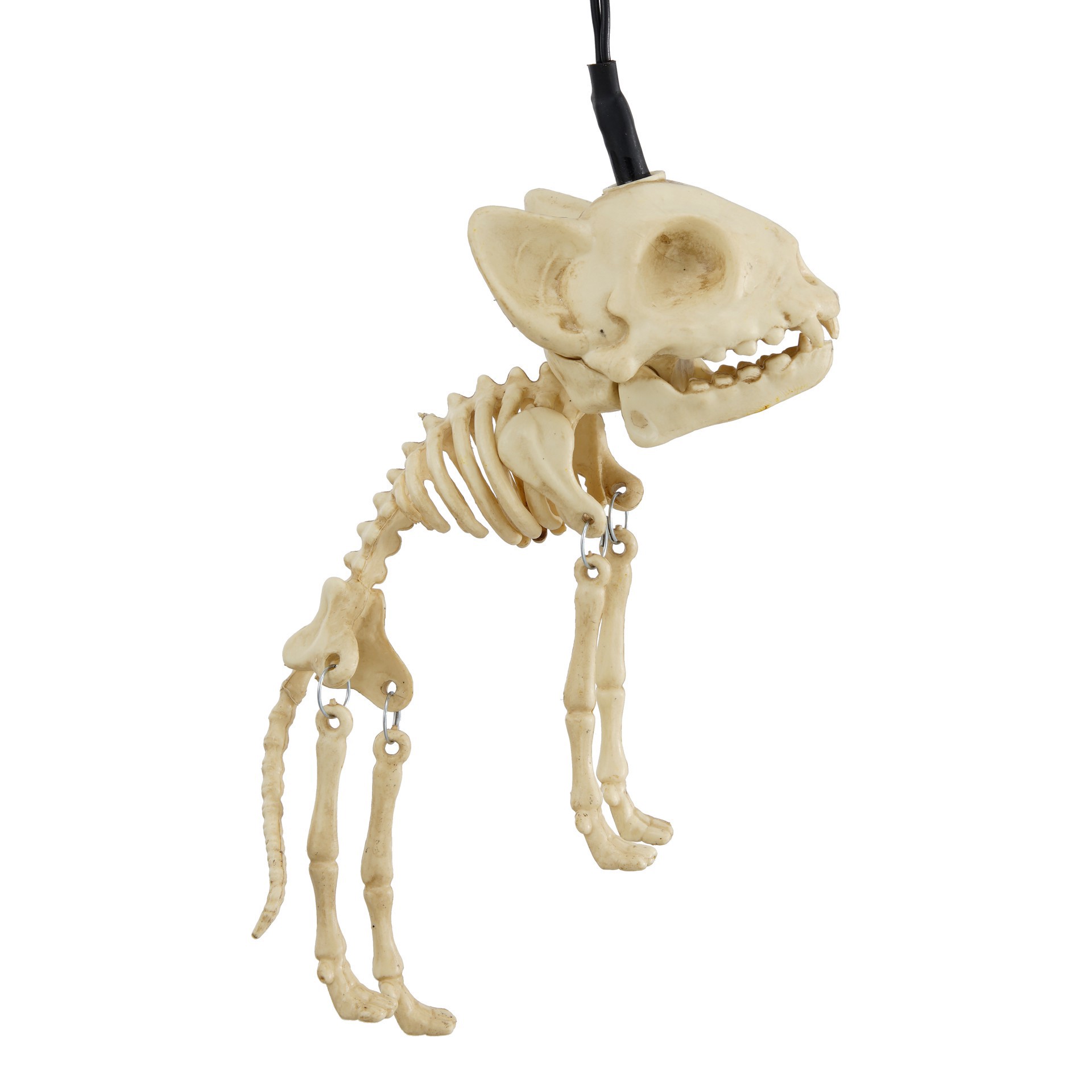 slide 3 of 4, 8ct. Skeleton Cats Icon Led String Lights By Ashland, 8 ct
