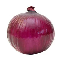 Cebolla Morada