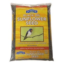Hill Country Fare Black Oil Sunflower Seed Bag