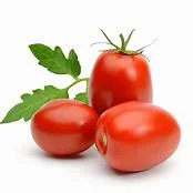 Conventinal Roma Tomatoes
