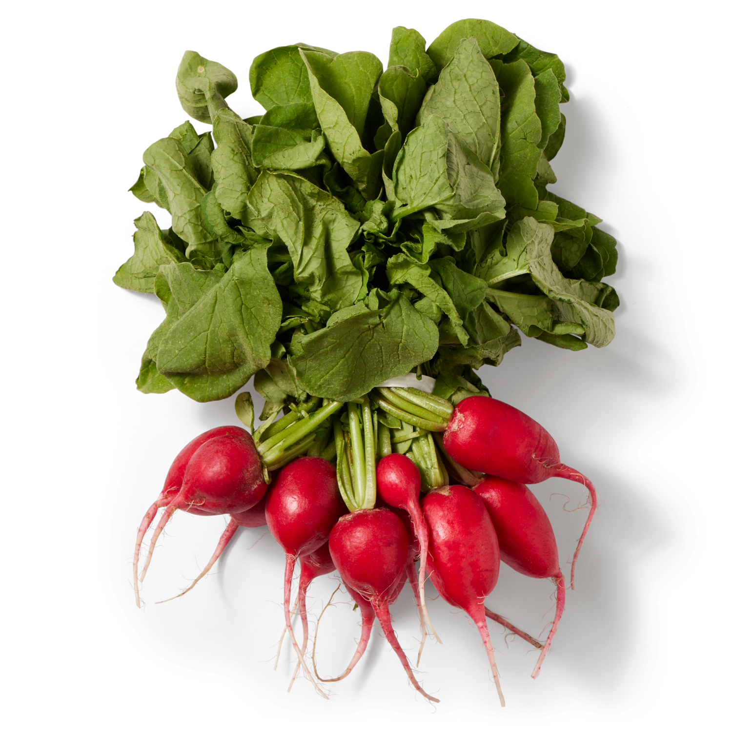 slide 1 of 2, Pure Leaf Radishes 1 Bunch, 1 ct