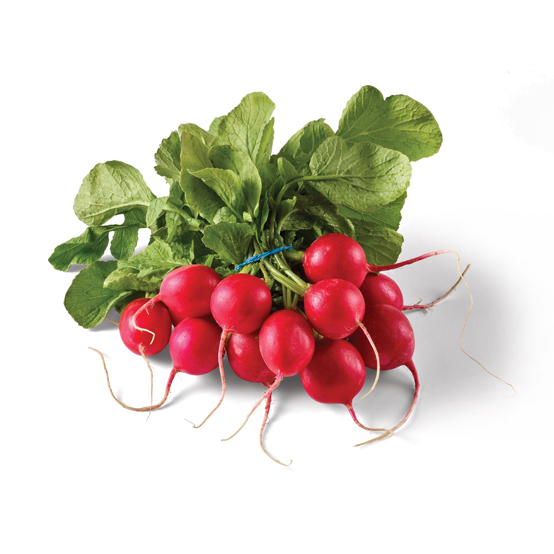 slide 1 of 1, Fresh Red Radishes, 1 ct
