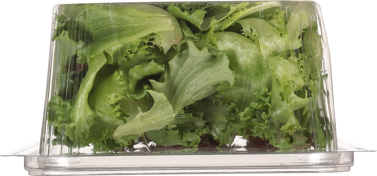 slide 5 of 10, Little Leaf Farms Baby Red & Green Leaf Lettuce 8 oz, 8 oz