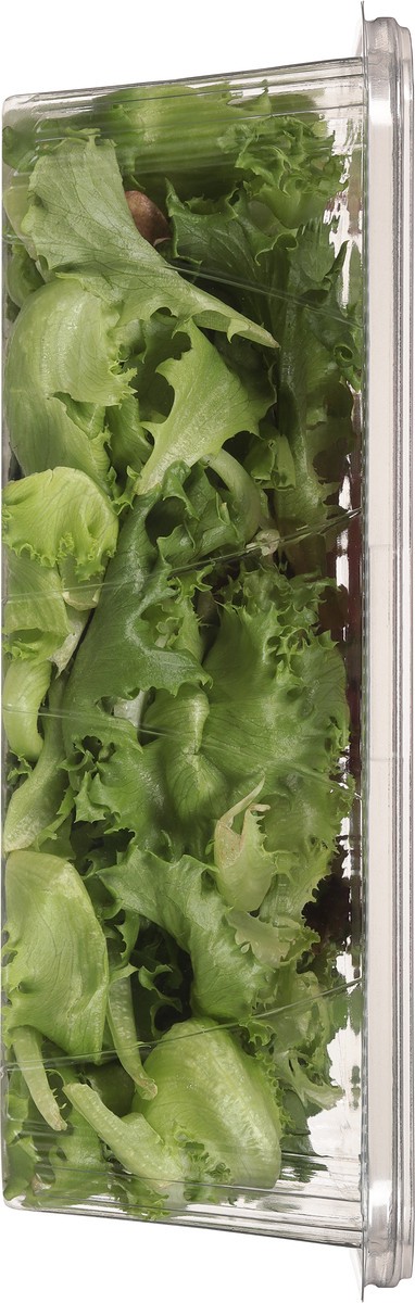 slide 3 of 10, Little Leaf Farms Baby Red & Green Leaf Lettuce 8 oz, 8 oz