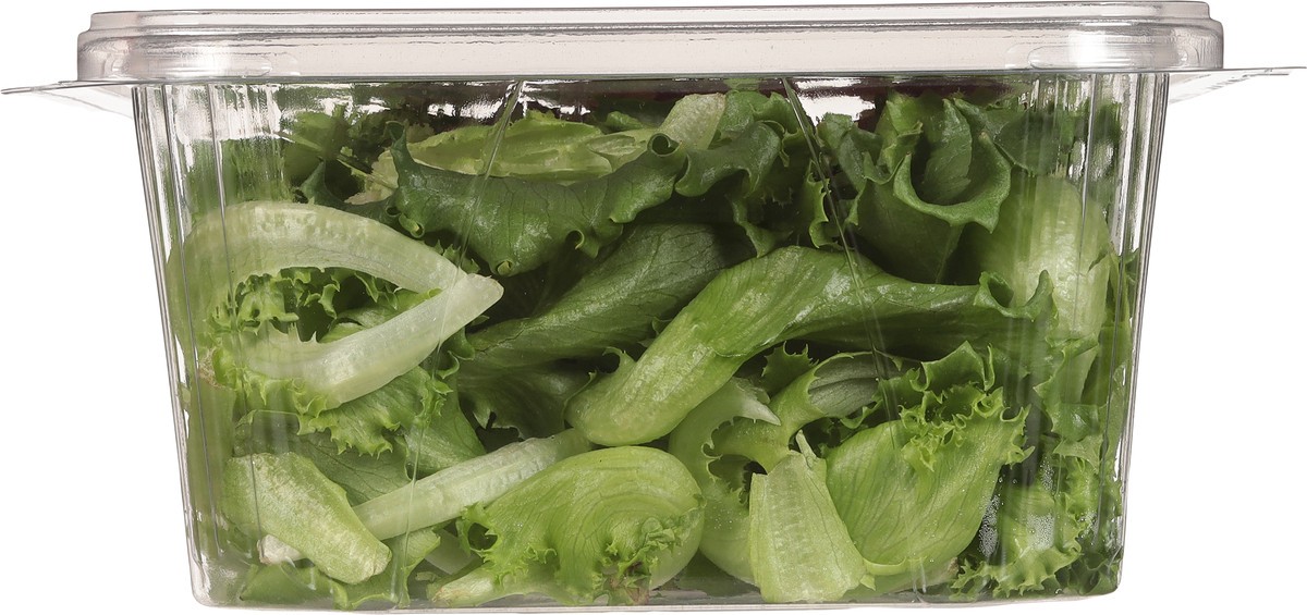 slide 2 of 10, Little Leaf Farms Baby Red & Green Leaf Lettuce 8 oz, 8 oz