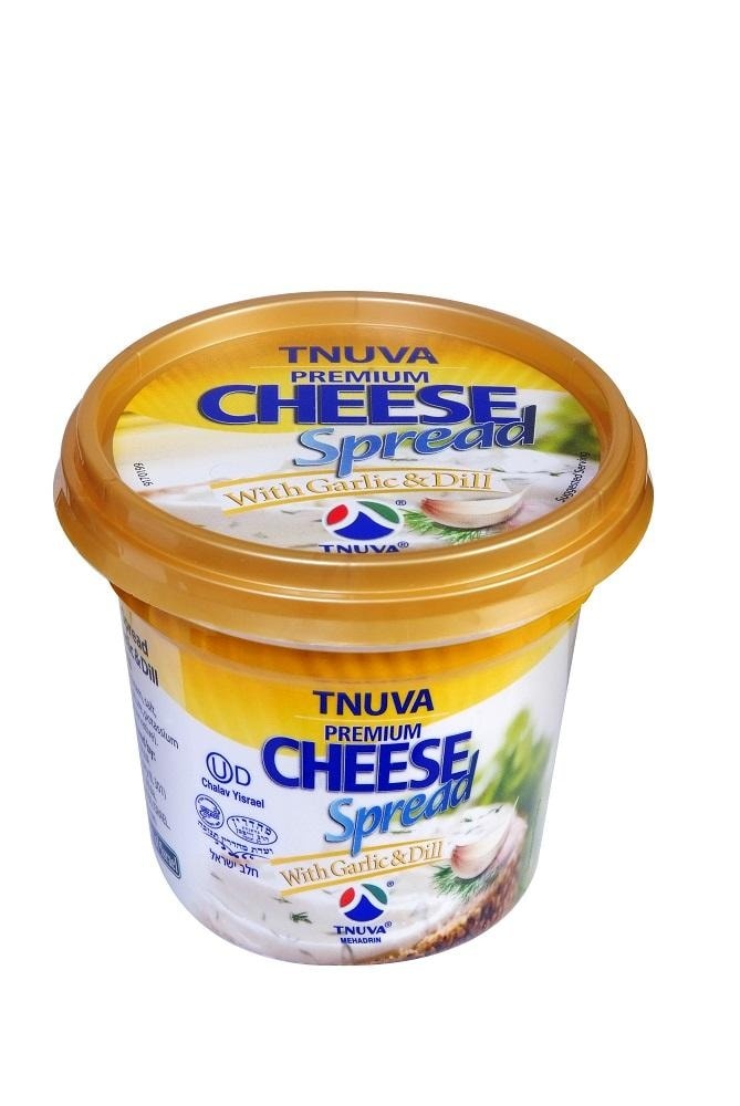 slide 1 of 1, Tnuva Cream Cheese With Garlic and Dill, 7.94 oz