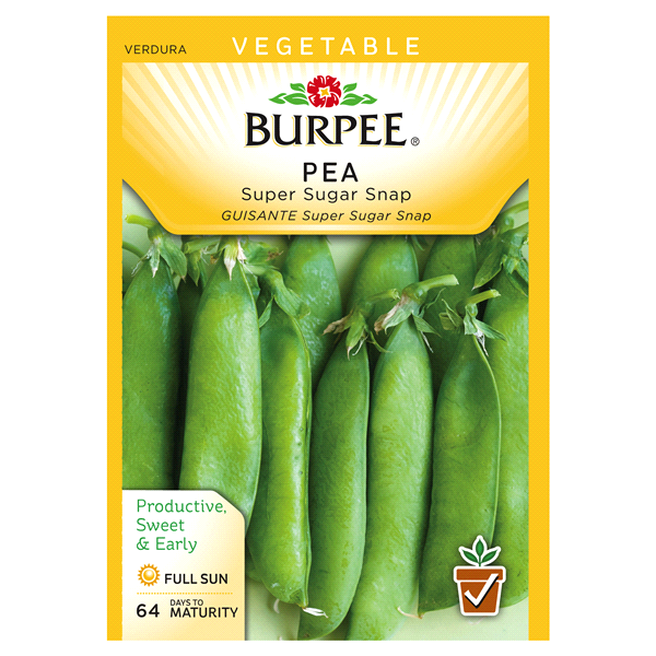 slide 1 of 1, Burpee Pea Snap Sugar Snap Pea Seeds, 1 ct