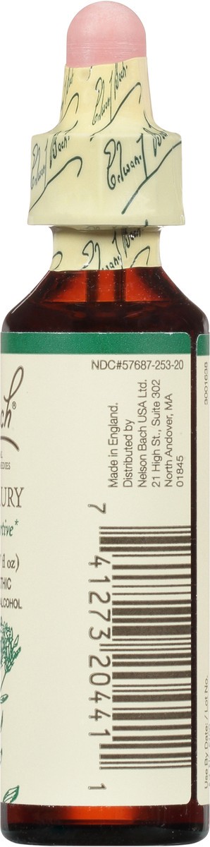 slide 10 of 11, Bach Original Flower Remedies Centaury 0.7 fl oz, 0.7 fl oz