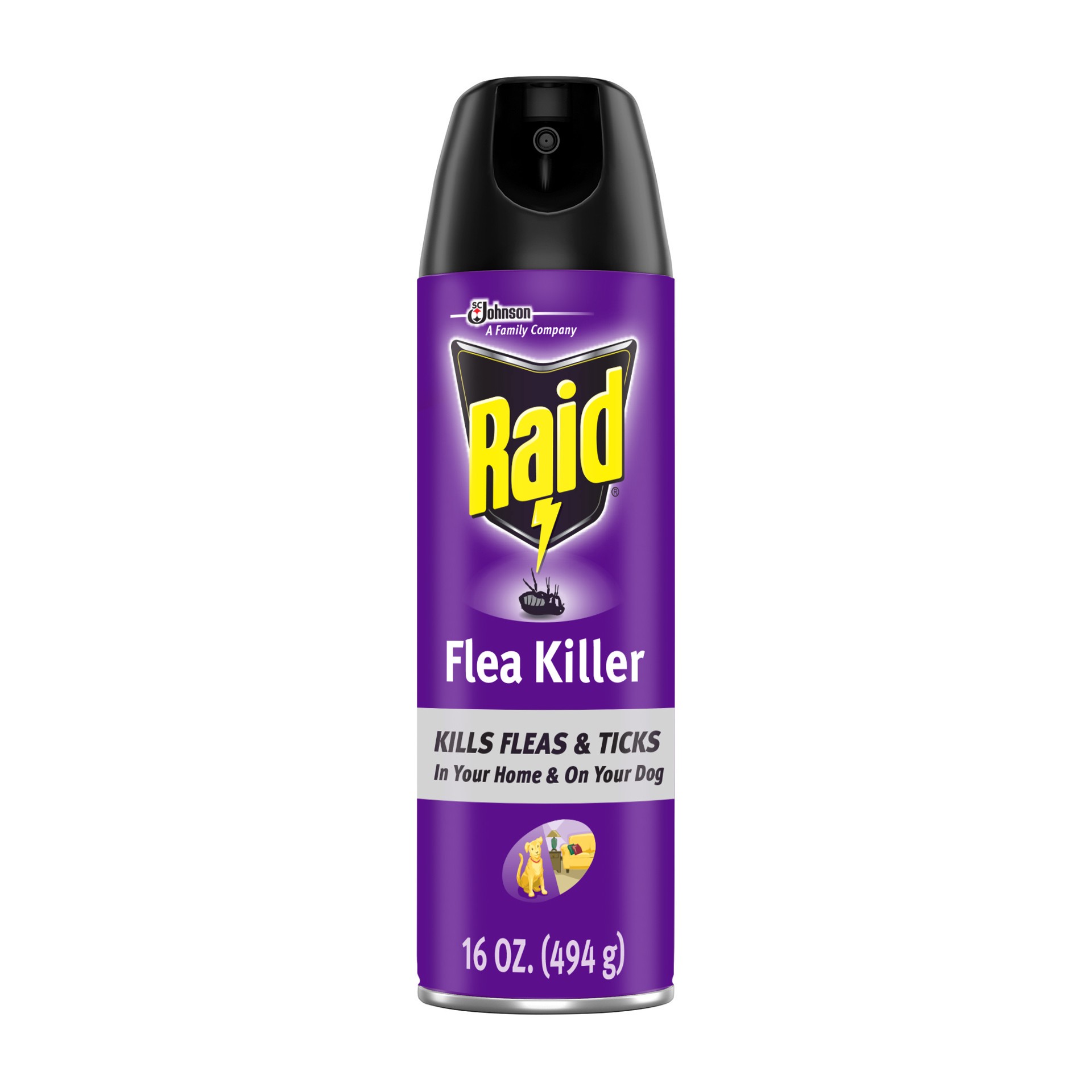 slide 4 of 5, Raid Flea Killer, 16 oz