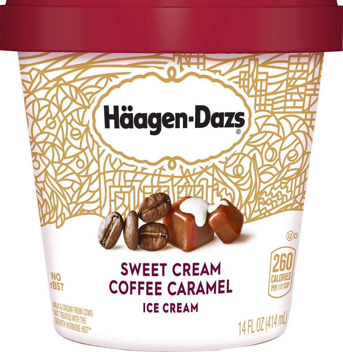 slide 5 of 6, Häagen-Dazs Destination Series Sweet Cream Coffee Caramel Ice Cream, 14 oz