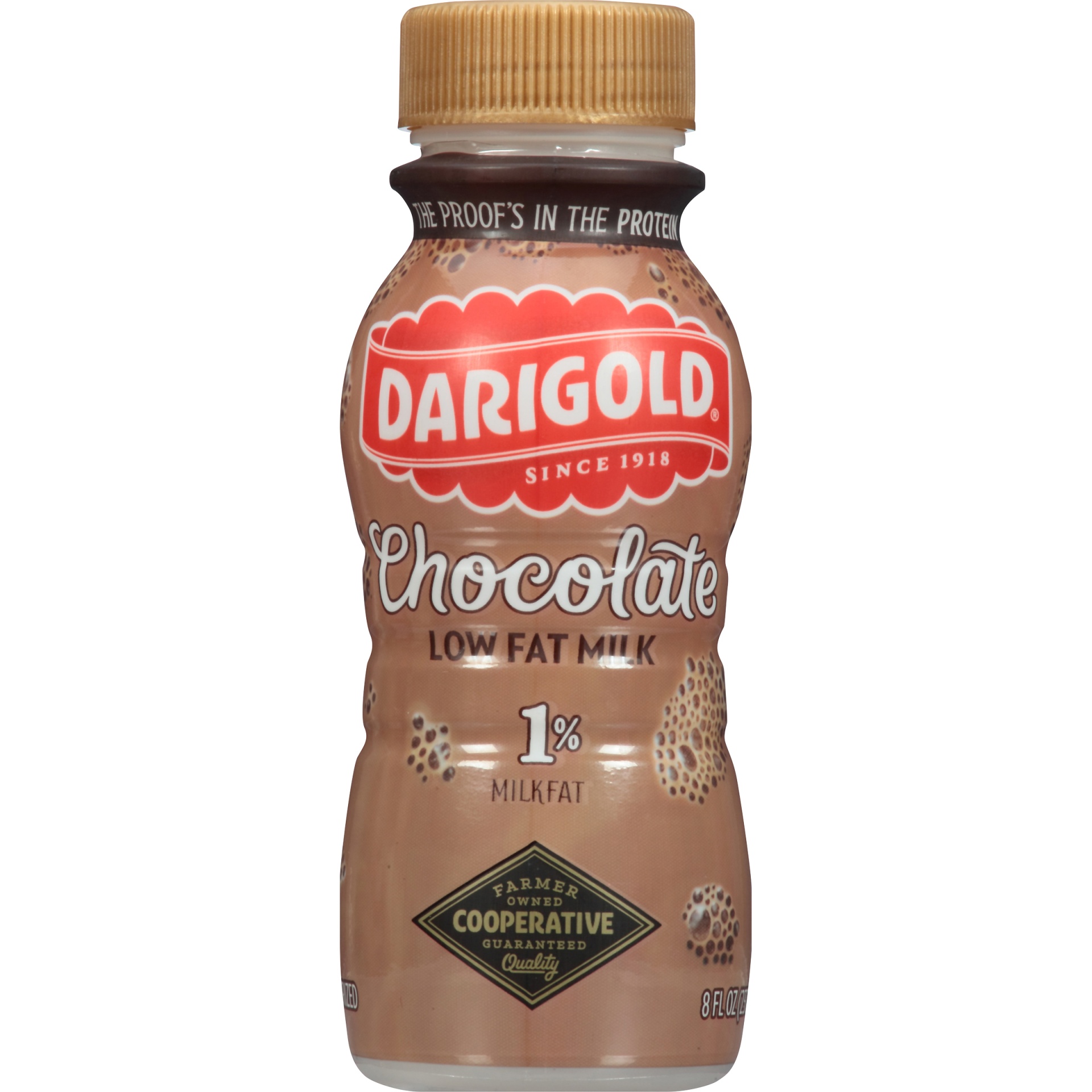 slide 1 of 1, Darigold Chocolate Low Fat Milk, 8 fl oz