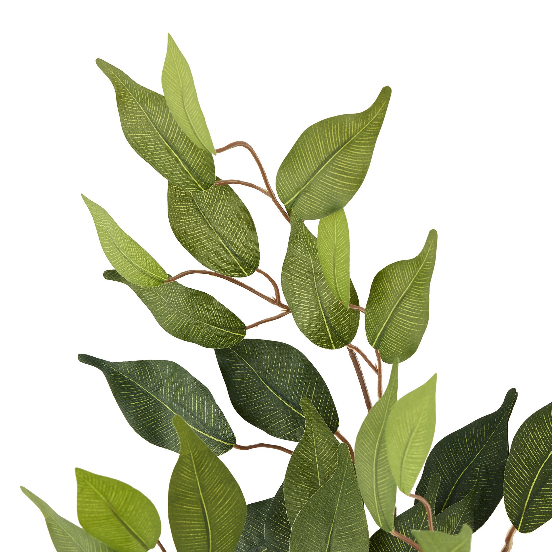 slide 3 of 3, 23" Ficus Spray Floral Essentials By Ashland, 23 in