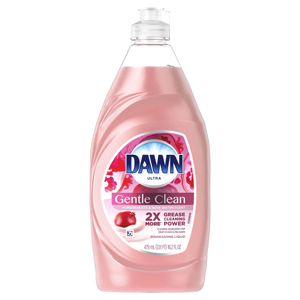 slide 1 of 1, Dawn Dishwashing Liquid Pomegranate Splash, 19 oz