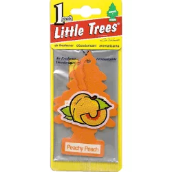 Little Trees Car Air Freshener