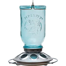 Perky-Pet Mason Jar Glass Wild Bird Feeder - Blue