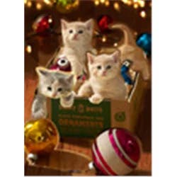 Avanti Boxed Christmas Card Set