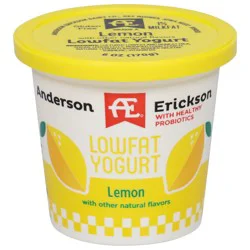 Anderson Erickson Dairy Dairy Lowfat Lemon Yogurt - 6 oz