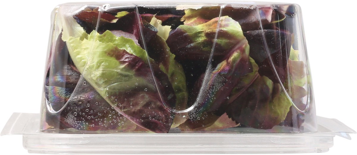 slide 5 of 14, Olivia's Organics Butter Lettuce, 5 oz