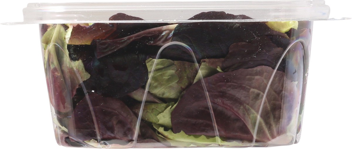 slide 9 of 14, Olivia's Organics Butter Lettuce, 5 oz