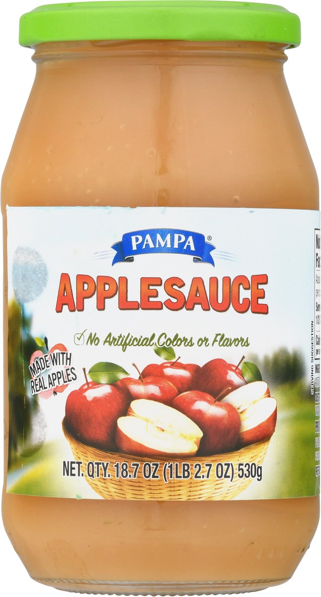slide 13 of 14, Pampa Applesauce 18.7 oz, 18.7 oz