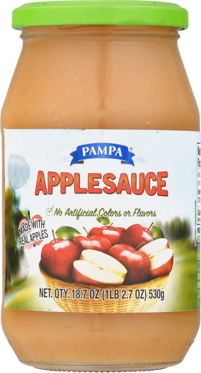 slide 1 of 14, Pampa Applesauce 18.7 oz, 18.7 oz