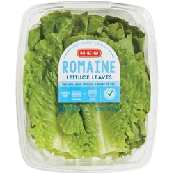 H-E-B Fresh Romaine Lettuce Leaves