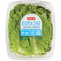 H-E-B Fresh Romaine Lettuce Leaves
