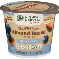 Higher Harvest by H-E-B Dairy Free Almond-Based Yogurt – Blueberry