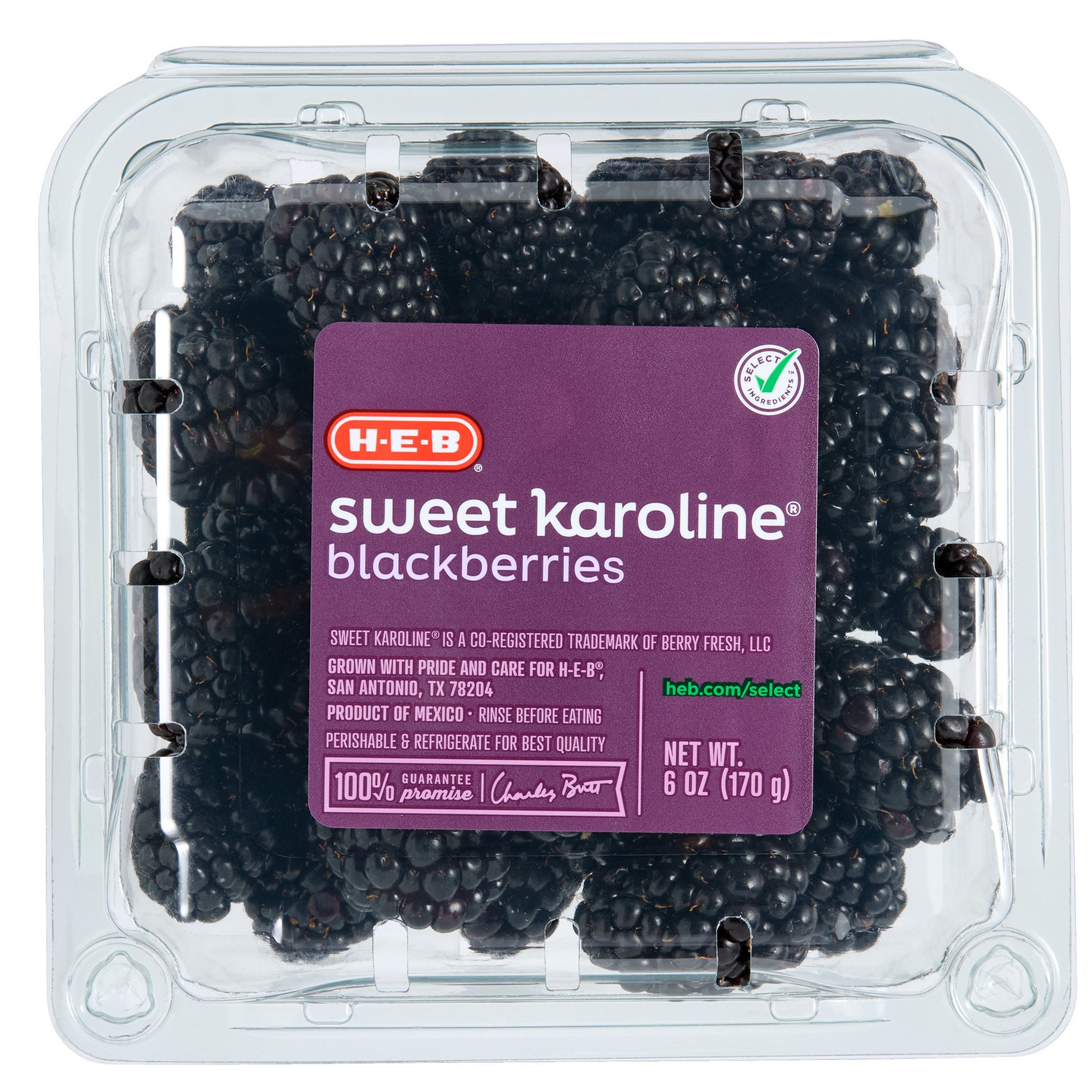 slide 1 of 1, H-E-B Premium Fresh Sweet Karoline Blackberries, 6 oz