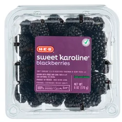 H-E-B Premium Fresh Sweet Karoline Blackberries
