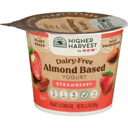 Higher Harvest by H-E-B Dairy Free Almond-Based Yogurt – Strawberry
