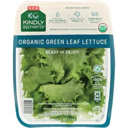 H-E-B Kindly Cultivated Fresh Organic Green Leaf Lettuce