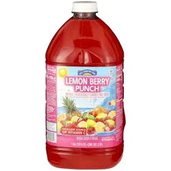Hill Country Fare Lemon Berry Punch