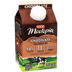 H-E-B Mootopia Lactose-Free 2% Reduced Fat Chocolate Milk