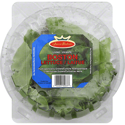 slide 2 of 2, Queen Victoria Boston Lettuce, 4 oz