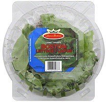 slide 1 of 2, Queen Victoria Boston Lettuce, 4 oz