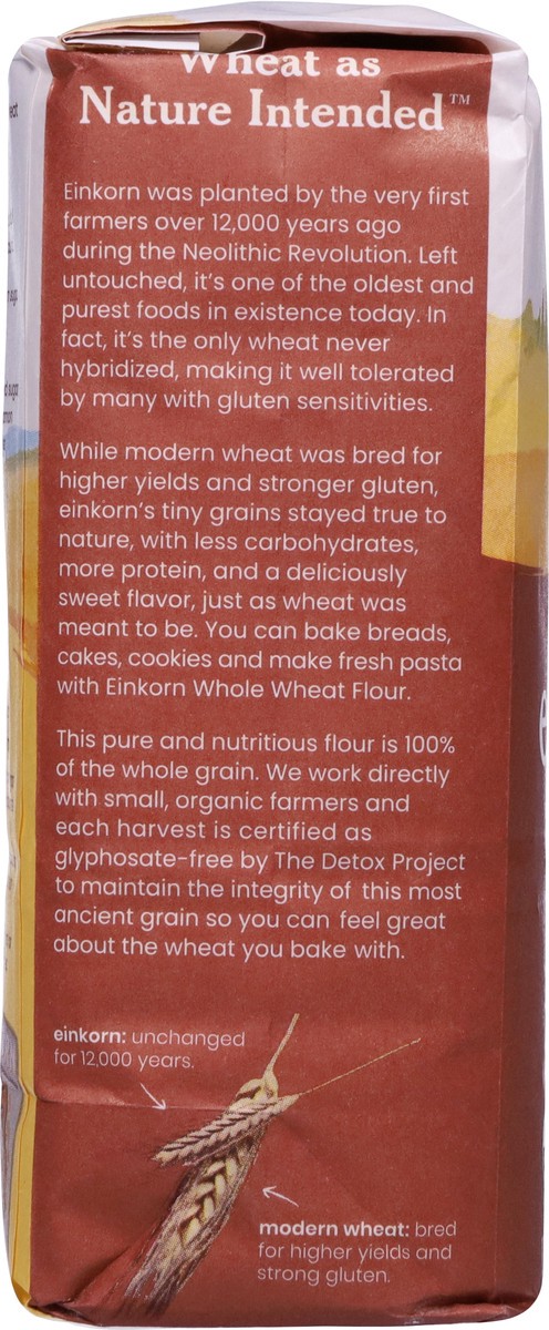 slide 3 of 9, Jovial Einkorn Whole Wheat 100% Organic Flour 32 oz, 32 oz