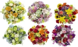 Mother's Day Grand Natures Bouquet (Where Available)