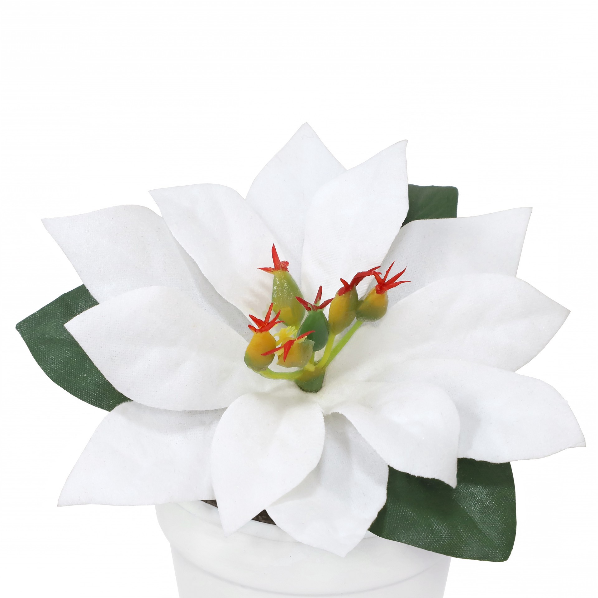 slide 3 of 3, 2.5" Premade White Velvet Poinsettia In White Terracotta Pot By Ashland, 3.75 in x 3.75 in x 2.5 in