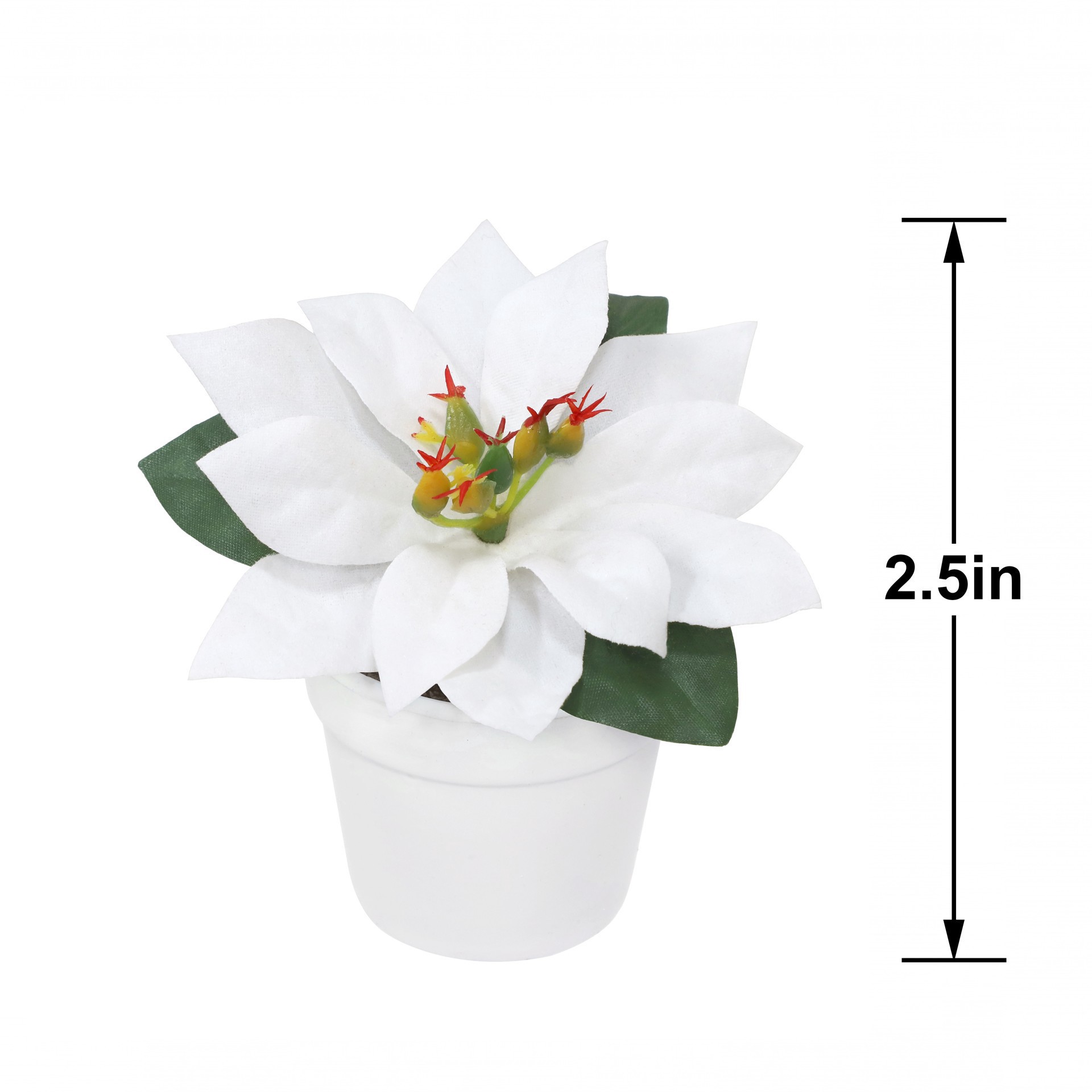 slide 2 of 3, 2.5" Premade White Velvet Poinsettia In White Terracotta Pot By Ashland, 3.75 in x 3.75 in x 2.5 in