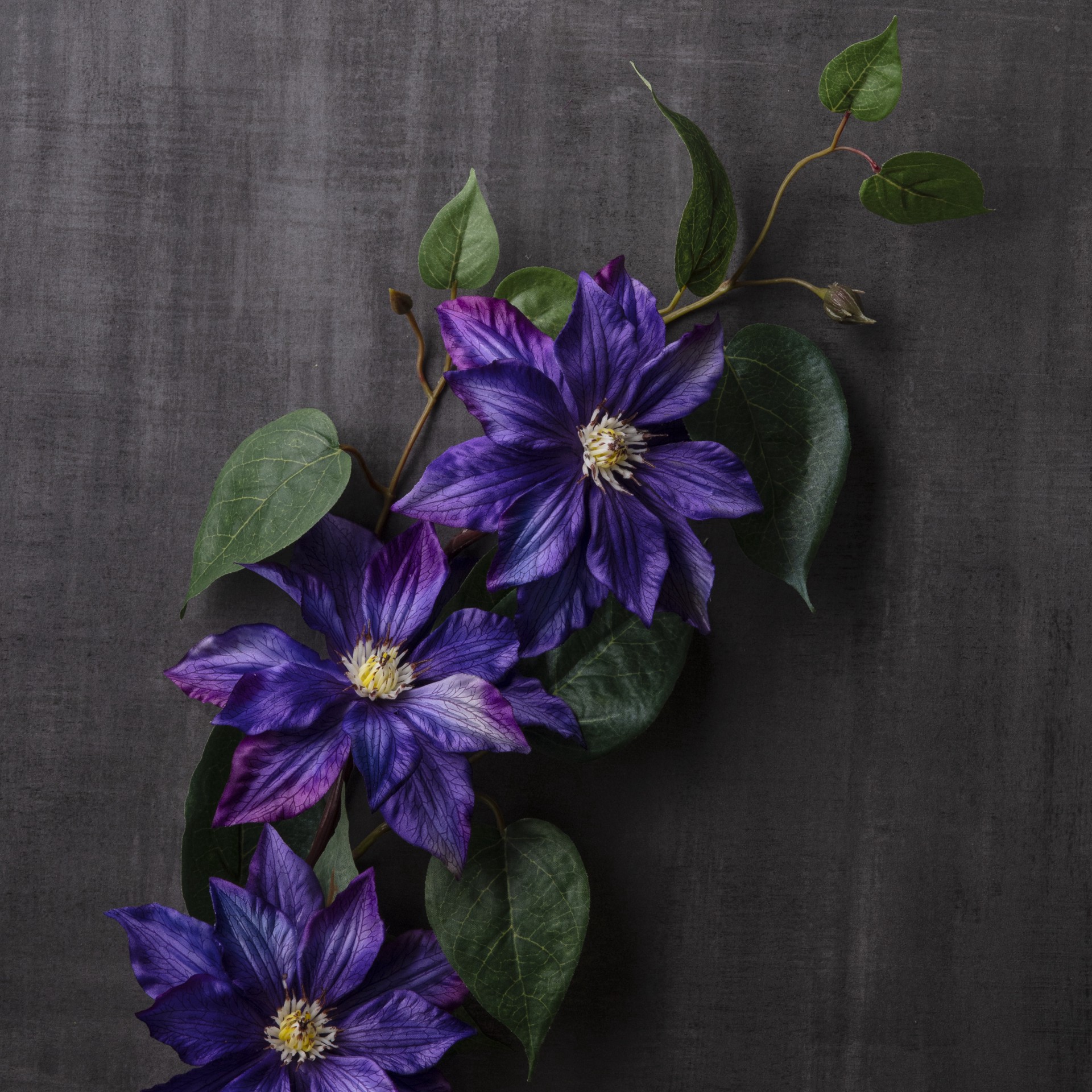 slide 2 of 3, Purple Tropical Clematis Stem By Ashland, 32 in