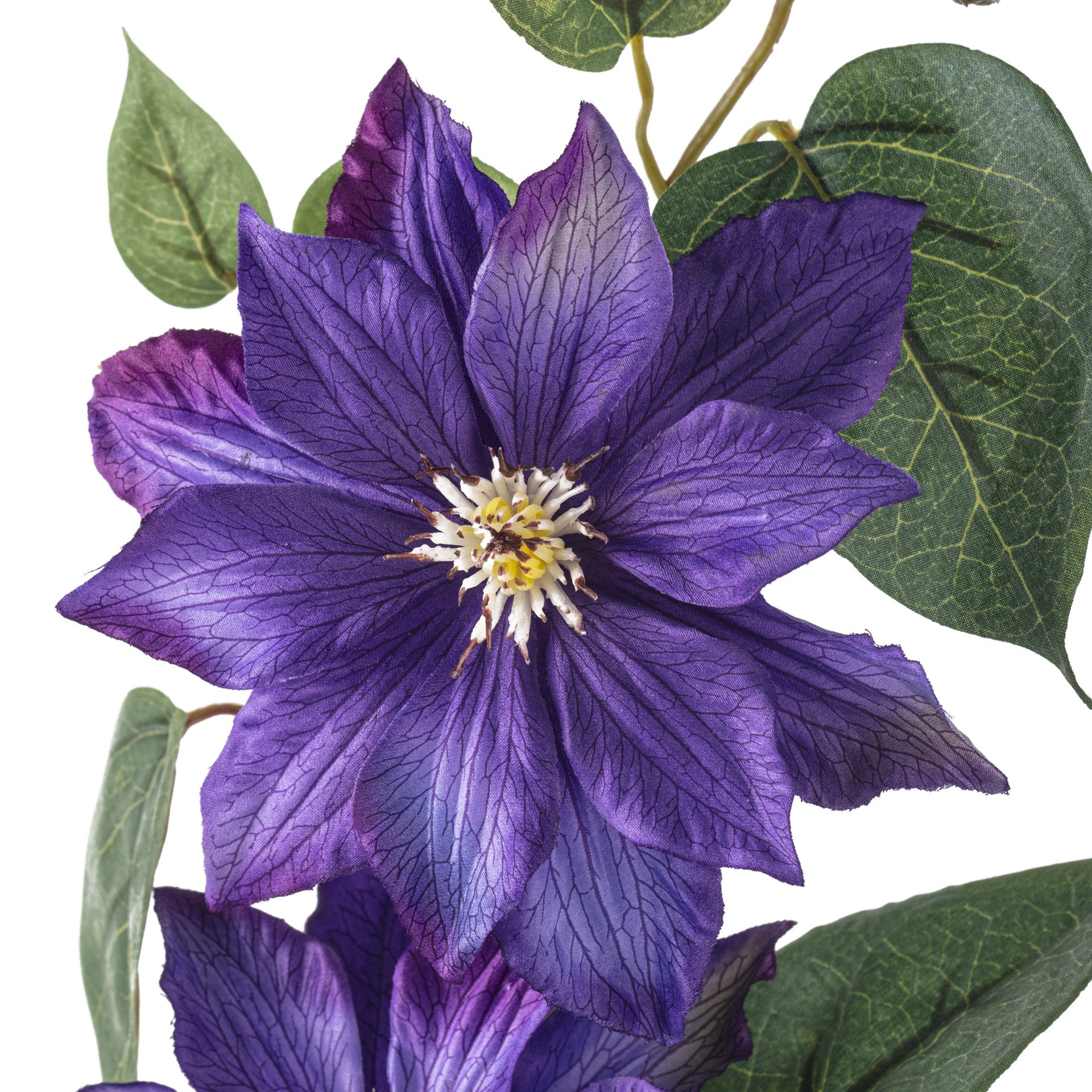 slide 3 of 3, Purple Tropical Clematis Stem By Ashland, 32 in