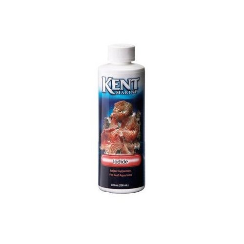 slide 1 of 1, Kent Marine Concentrated Iodine Supplement, 8 oz